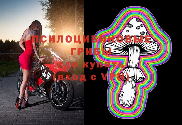 бошки Аркадак